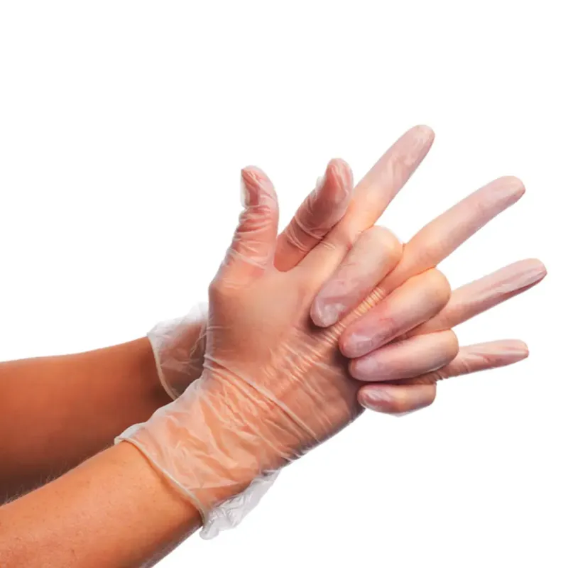 VINYL GLOVES vinilne rukavice za jednokratnu upotrebu nepuderisane 100 kom transparentne 91 L | Novatex DOO